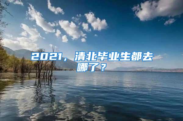 2021，清北毕业生都去哪了？