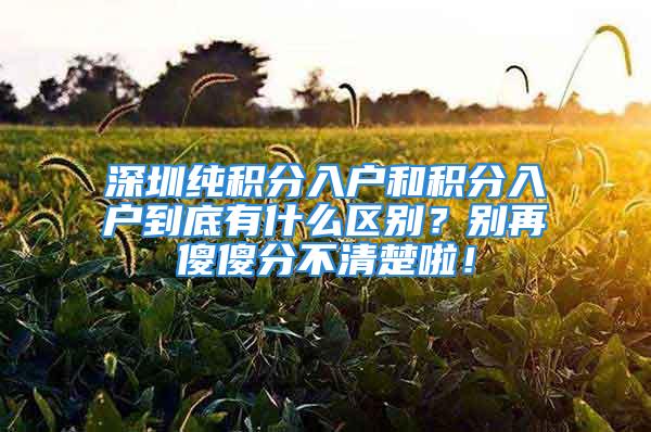 深圳纯积分入户和积分入户到底有什么区别？别再傻傻分不清楚啦！