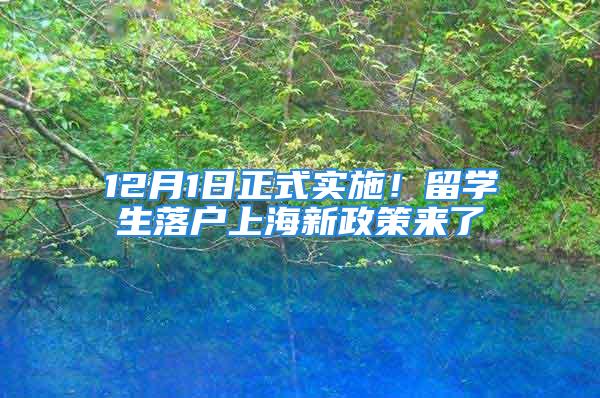 12月1日正式实施！留学生落户上海新政策来了