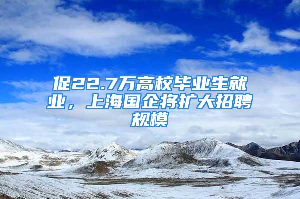 促22.7万高校毕业生就业，上海国企将扩大招聘规模