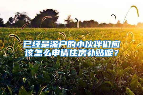 已经是深户的小伙伴们应该怎么申请住房补贴呢？