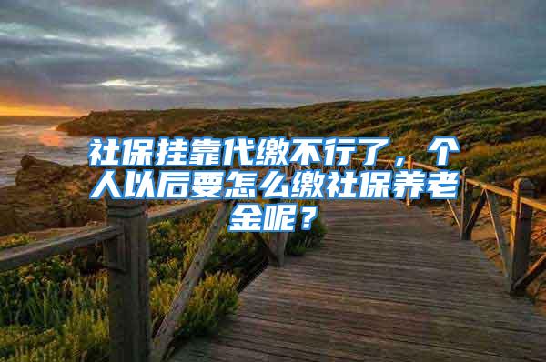 社保挂靠代缴不行了，个人以后要怎么缴社保养老金呢？