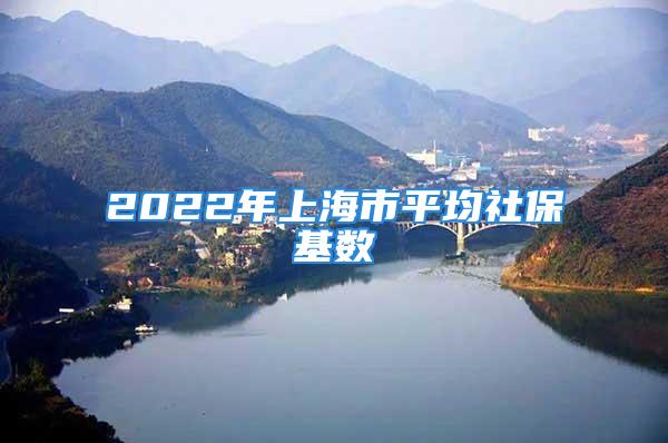 2022年上海市平均社保基数