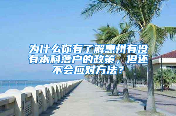 为什么你有了解惠州有没有本科落户的政策，但还不会应对方法？