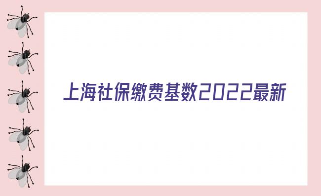 上海社保缴费基数2022最新