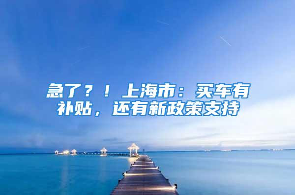 急了？！上海市：买车有补贴，还有新政策支持