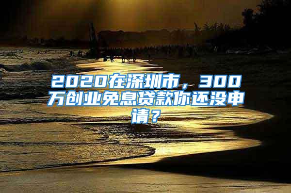 2020在深圳市，300万创业免息贷款你还没申请？