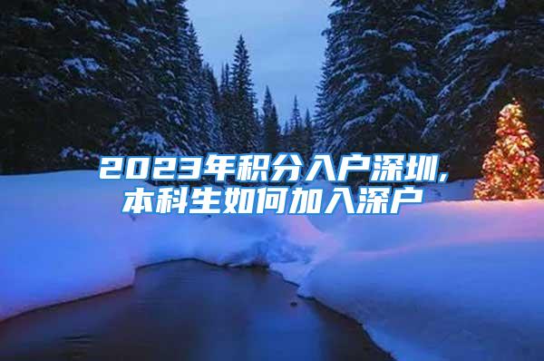 2023年积分入户深圳,本科生如何加入深户