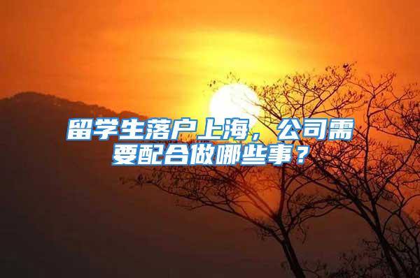 留学生落户上海，公司需要配合做哪些事？