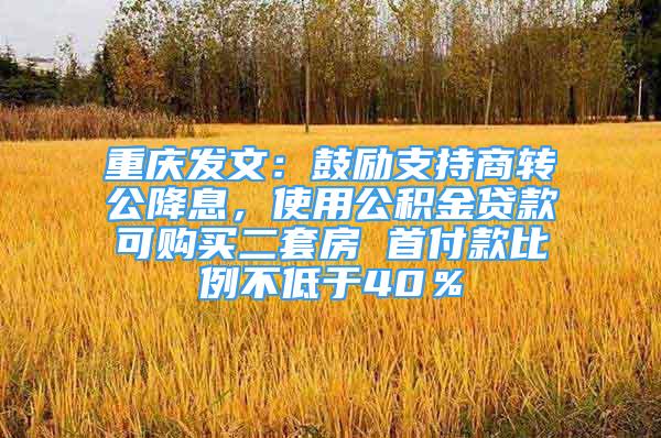 重庆发文：鼓励支持商转公降息，使用公积金贷款可购买二套房 首付款比例不低于40％