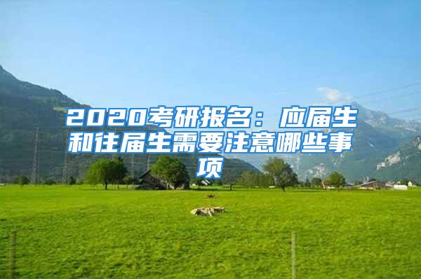 2020考研报名：应届生和往届生需要注意哪些事项