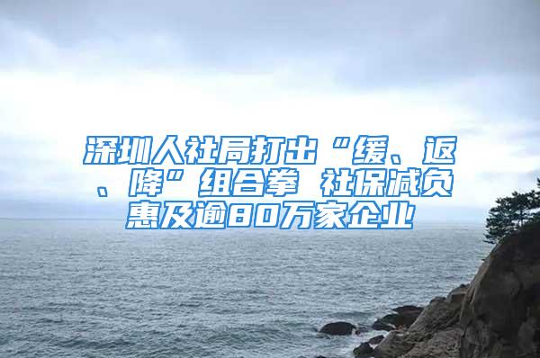 深圳人社局打出“缓、返、降”组合拳 社保减负惠及逾80万家企业