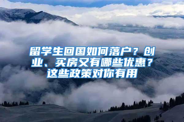 留学生回国如何落户？创业、买房又有哪些优惠？这些政策对你有用