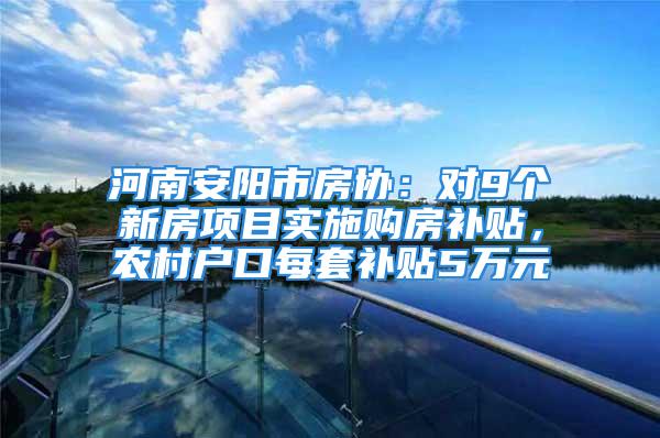 河南安阳市房协：对9个新房项目实施购房补贴，农村户口每套补贴5万元