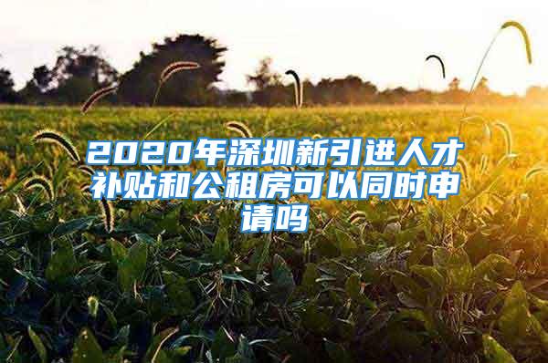 2020年深圳新引进人才补贴和公租房可以同时申请吗