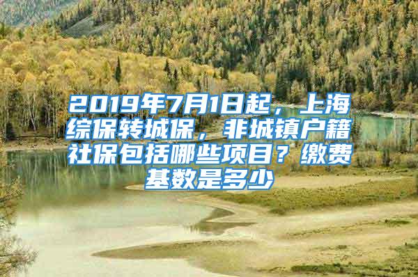 2019年7月1日起，上海综保转城保，非城镇户籍社保包括哪些项目？缴费基数是多少