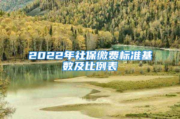 2022年社保缴费标准基数及比例表