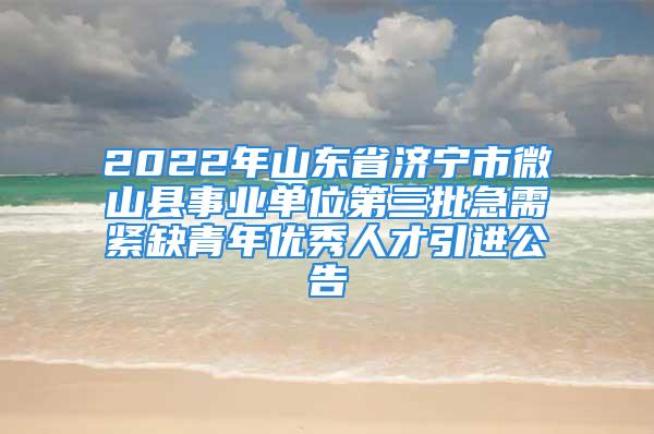 2022年山东省济宁市微山县事业单位第三批急需紧缺青年优秀人才引进公告