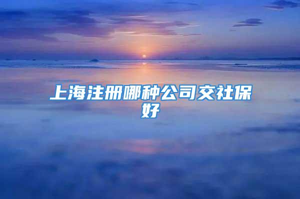 上海注册哪种公司交社保好