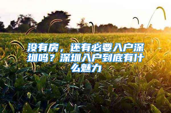 没有房，还有必要入户深圳吗？深圳入户到底有什么魅力