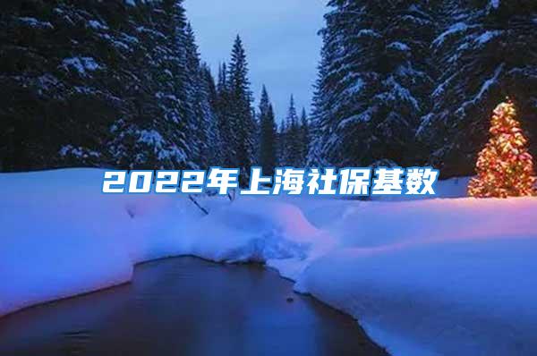 2022年上海社保基数