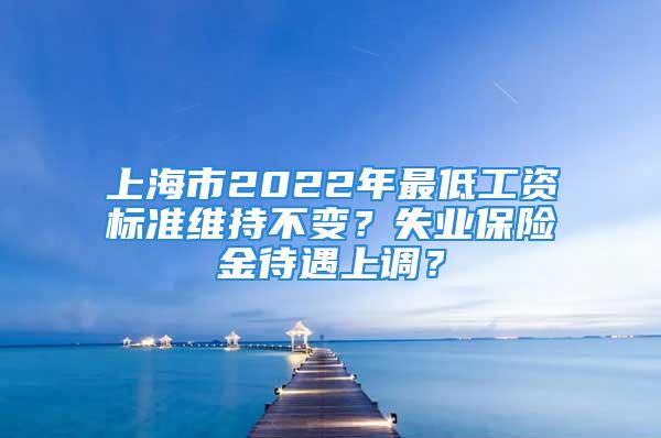 上海市2022年最低工资标准维持不变？失业保险金待遇上调？