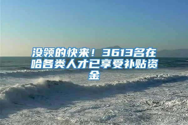 没领的快来！3613名在哈各类人才已享受补贴资金