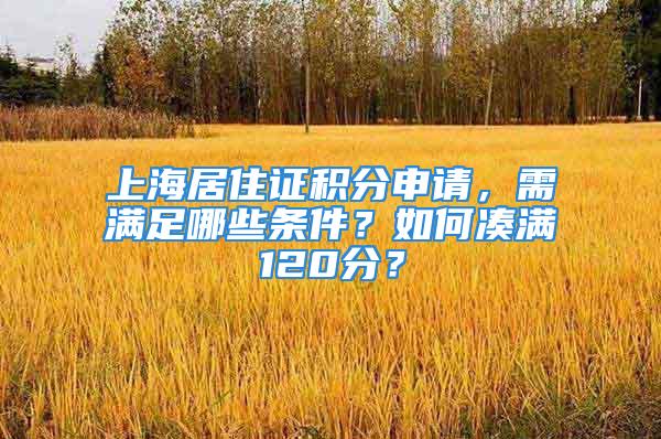 上海居住证积分申请，需满足哪些条件？如何凑满120分？