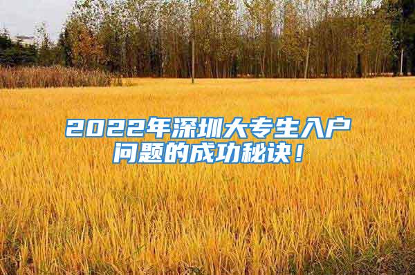 2022年深圳大专生入户问题的成功秘诀！