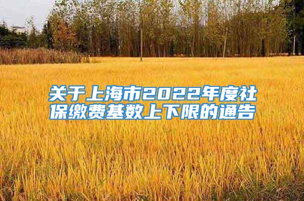 关于上海市2022年度社保缴费基数上下限的通告