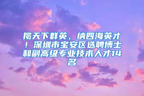 揽天下群英，纳四海英才！深圳市宝安区选聘博士和副高级专业技术人才14名