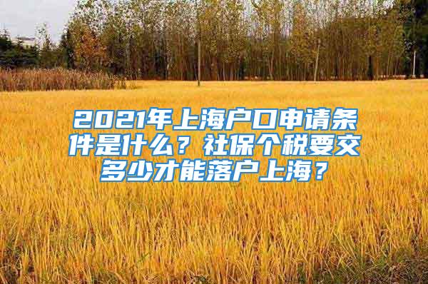 2021年上海户口申请条件是什么？社保个税要交多少才能落户上海？