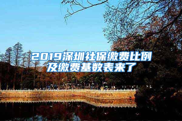 2019深圳社保缴费比例及缴费基数表来了