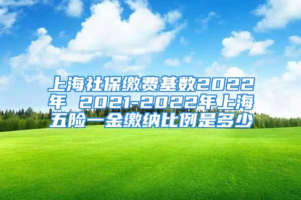 上海社保缴费基数2022年 2021-2022年上海五险一金缴纳比例是多少