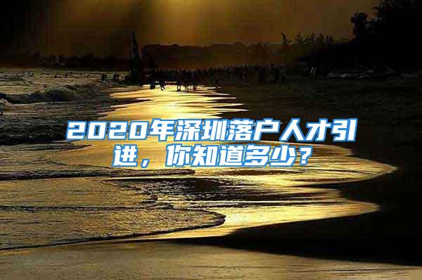 2020年深圳落户人才引进，你知道多少？