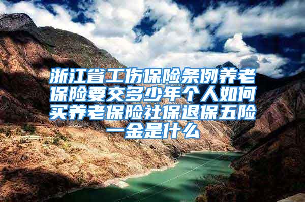 浙江省工伤保险条例养老保险要交多少年个人如何买养老保险社保退保五险一金是什么