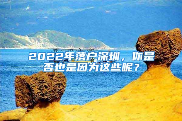 2022年落户深圳，你是否也是因为这些呢？