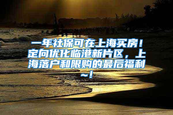 一年社保可在上海买房！定向优化临港新片区，上海落户和限购的最后福利~！