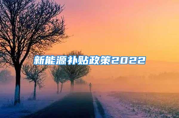 新能源补贴政策2022