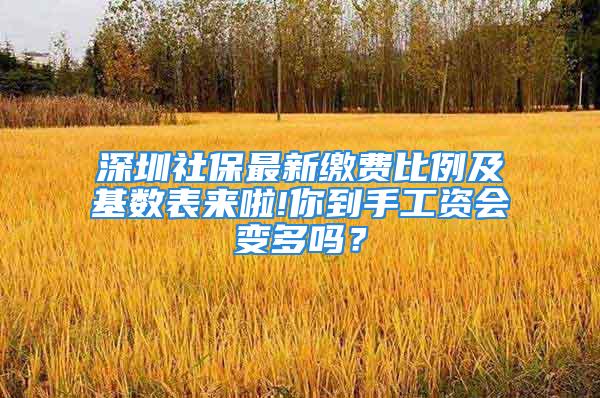 深圳社保最新缴费比例及基数表来啦!你到手工资会变多吗？