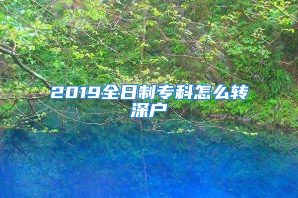 2019全日制专科怎么转深户