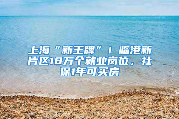 上海“新王牌”！临港新片区18万个就业岗位，社保1年可买房