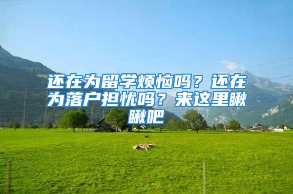 还在为留学烦恼吗？还在为落户担忧吗？来这里瞅瞅吧