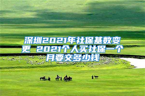 深圳2021年社保基数变更 2021个人买社保一个月要交多少钱