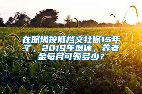 在深圳按低档交社保15年了，2019年退休，养老金每月可领多少？