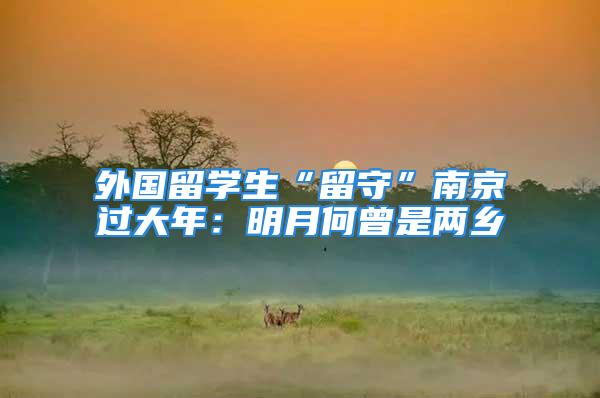 外国留学生“留守”南京过大年：明月何曾是两乡