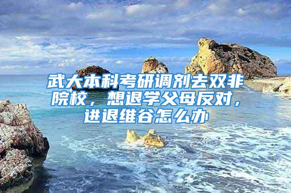 武大本科考研调剂去双非院校，想退学父母反对，进退维谷怎么办