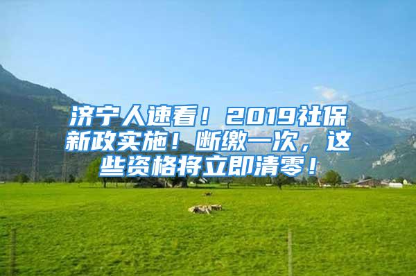 济宁人速看！2019社保新政实施！断缴一次，这些资格将立即清零！