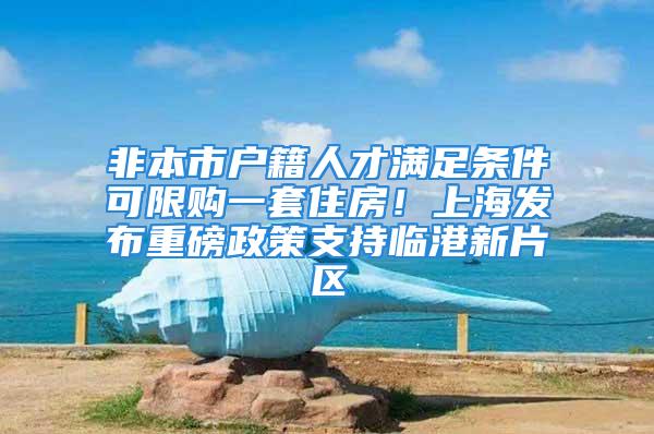 非本市户籍人才满足条件可限购一套住房！上海发布重磅政策支持临港新片区