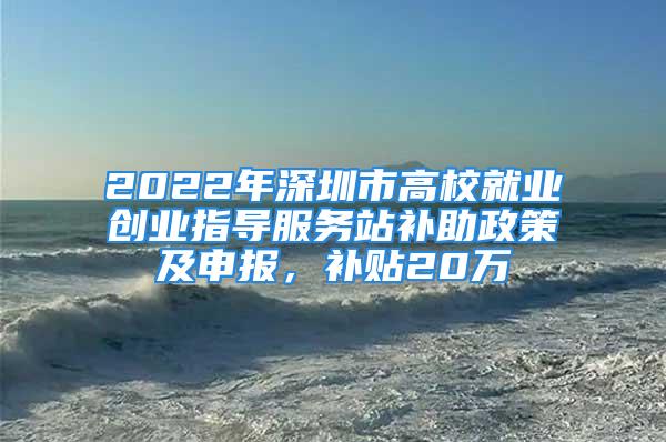 2022年深圳市高校就业创业指导服务站补助政策及申报，补贴20万